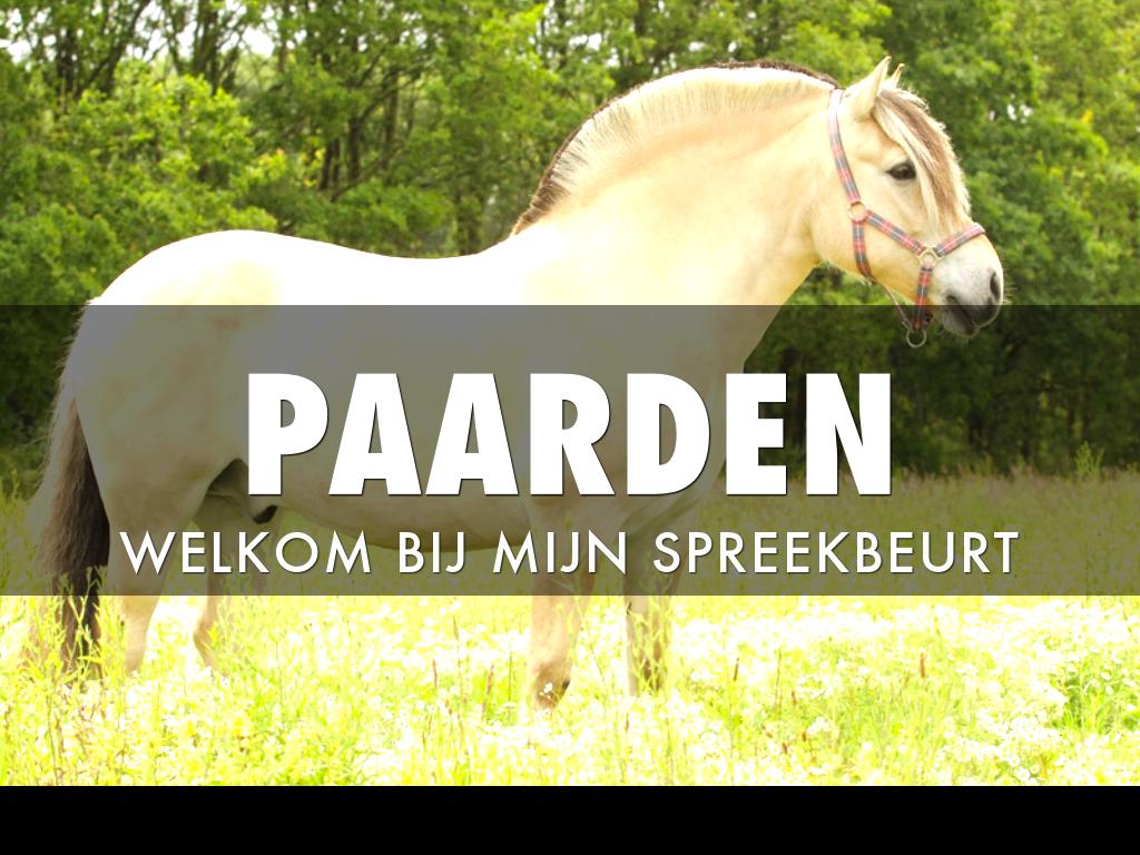 PAARDEN by Hein De Wid PAARDEN by Hein De Wid